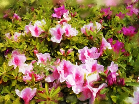 ��i21�D���P